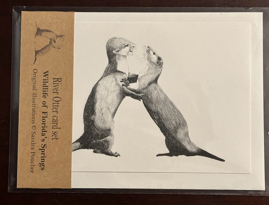 common otters card